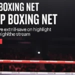 Unlocking the Experience: What VIP Boxing Net Offers to Fans